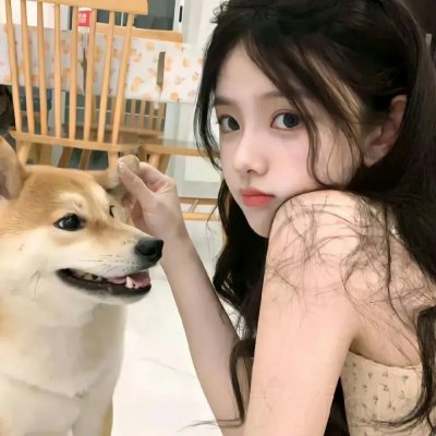魔术师的黄金骷髅 海报